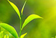 /meiguonongyejixie.html